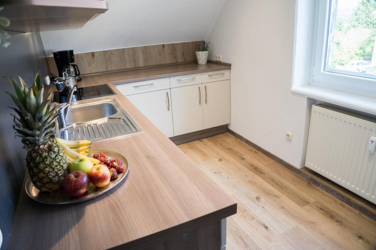 Urlaubsfreude Biedermann Haus Gluecksstein - Mondstein Apartment Бад Шандау Екстериор снимка